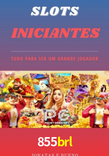 Interface Premium 855brl